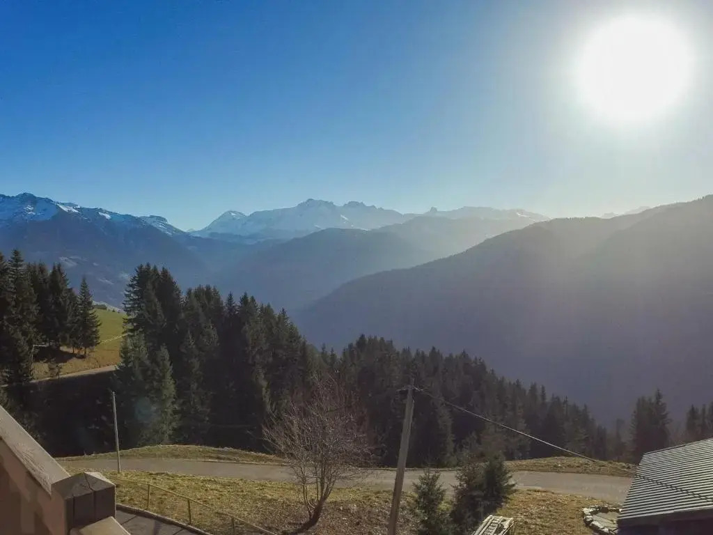 Appartement Villard-sur-Doron, 4 pièces, 8 personnes - FR-1-293-343