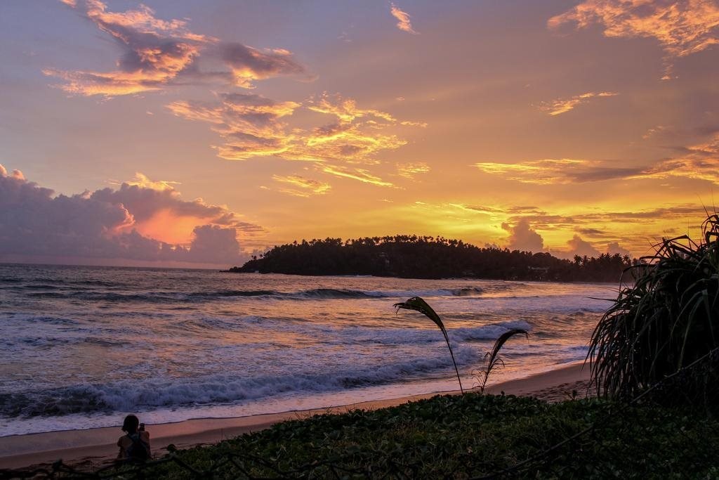 Mirissa Blue Whale Holiday Hotel