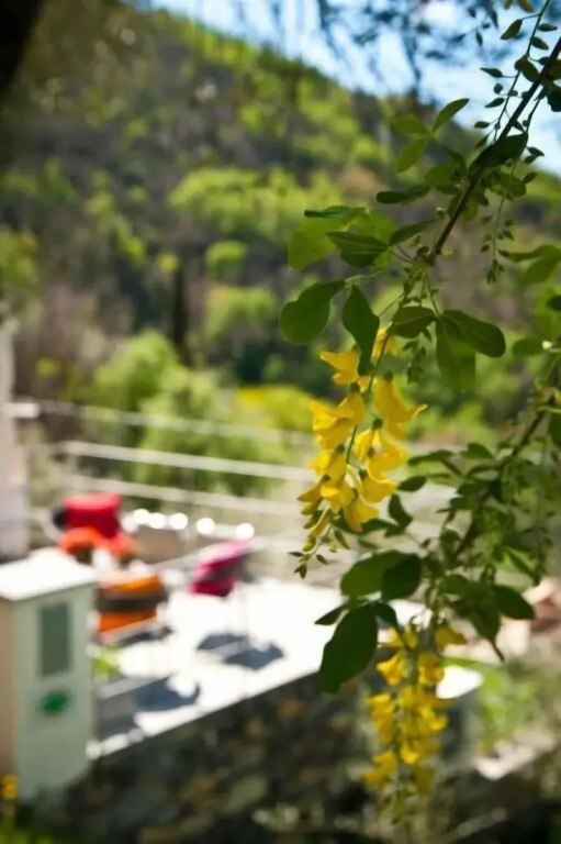Il Giardino di Fe