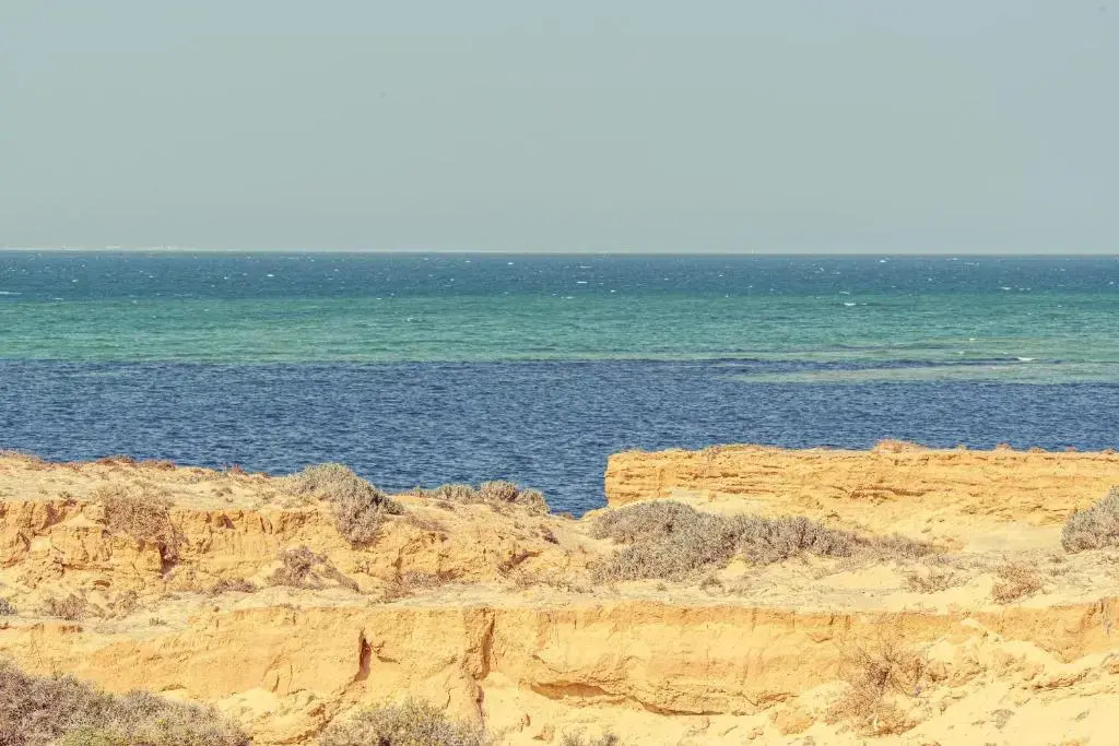 Oasis212 Dakhla