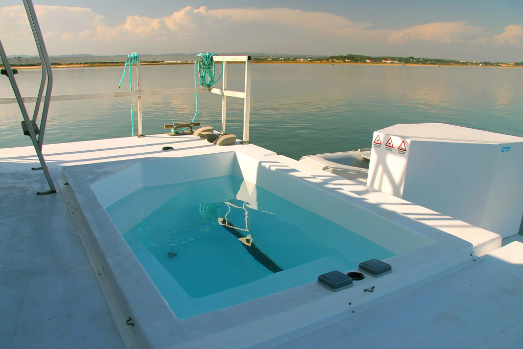 Passeios Ria Formosa House Boats