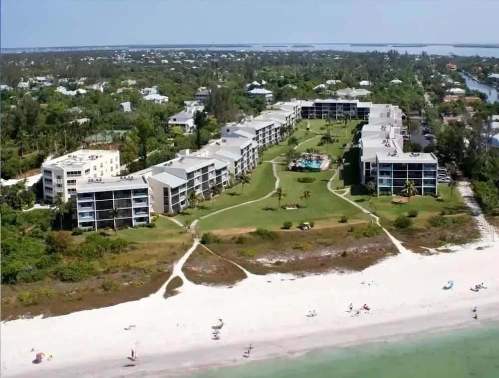 Loggerhead 443