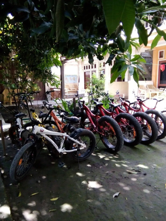Gili Beach Wind