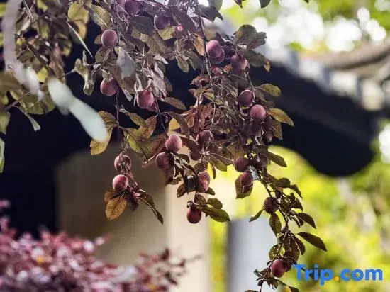 Lijin Resort Hotel