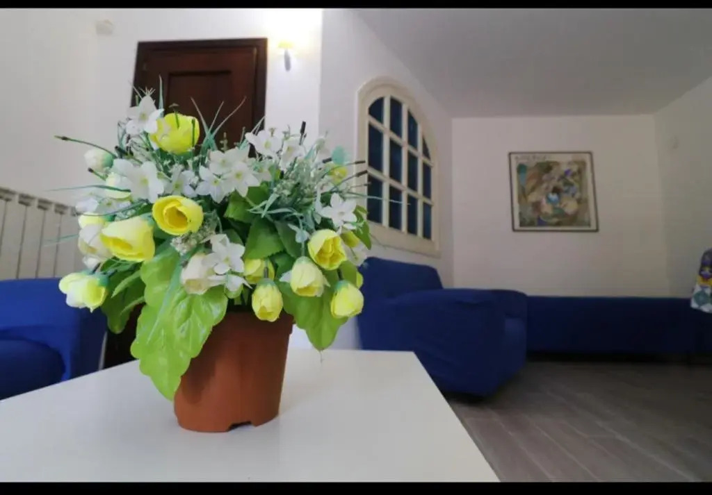 2 bedrooms appartement with enclosed garden and wifi at Palermo 1 km away from the beach