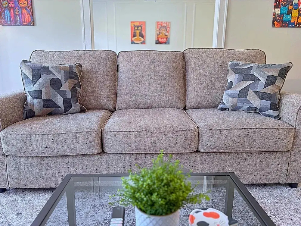 Charming 1BR in Evanston - Hinman B3