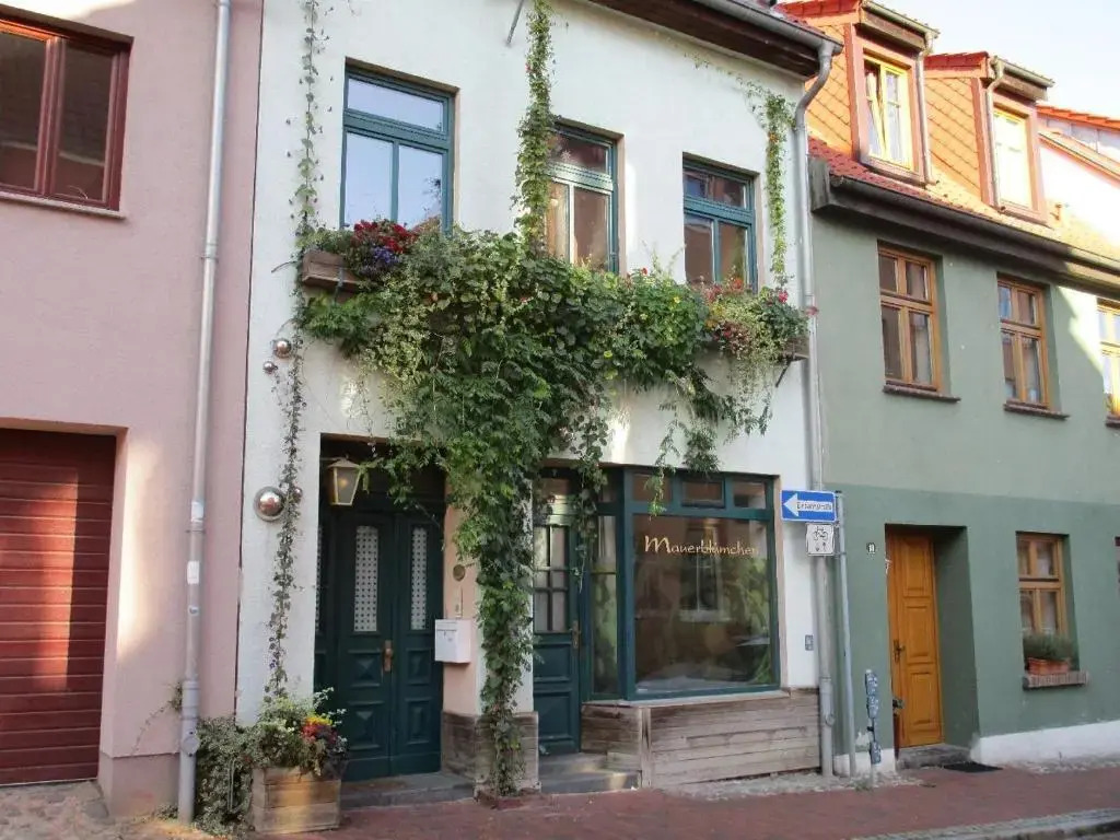 Ferienwohnung-im-mauerbluemchen
