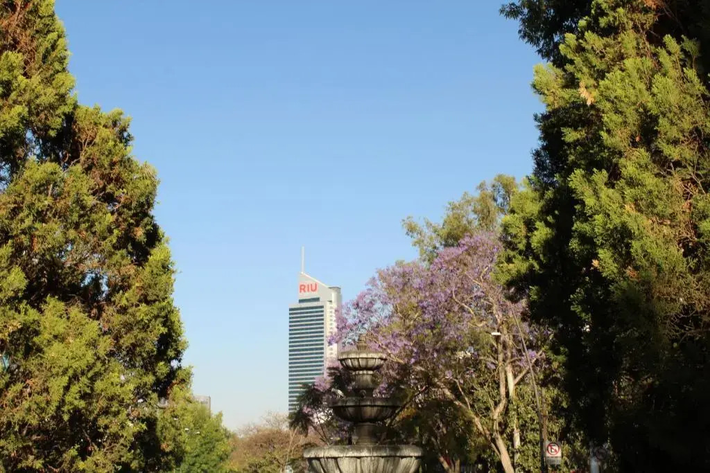 Estudio 2/ en Glorieta Chapalita