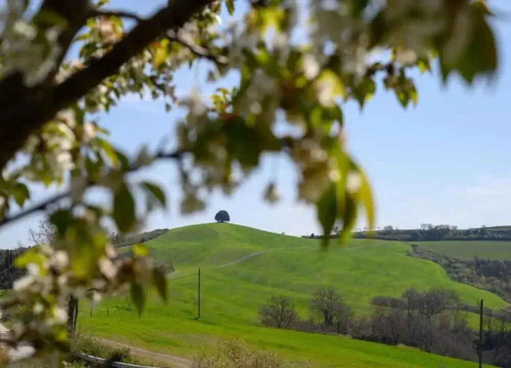 Group Retreat With Garden in Tuscany