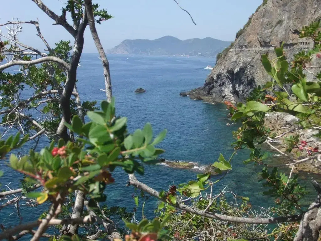 Cantina del Pescatore