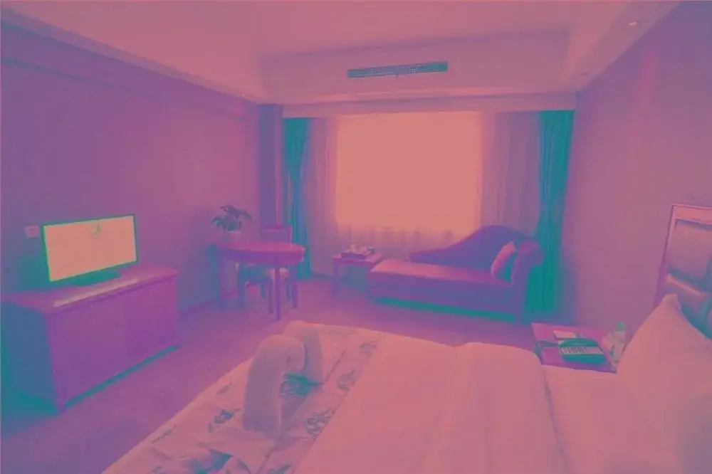 Xinglu  Hotel