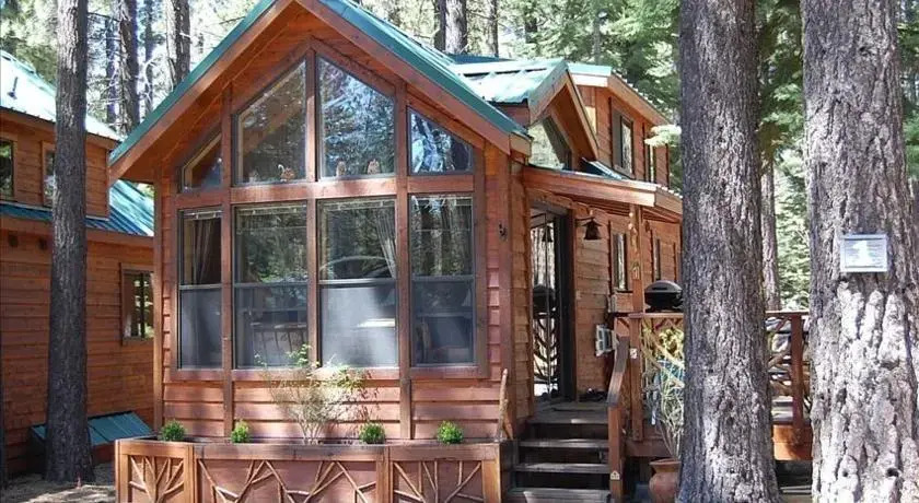 Knotty Pine Cabin
