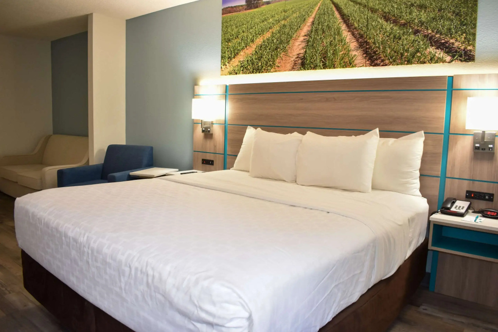 Comfort Inn Vidalia