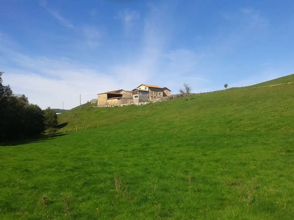 Domaine des Roches