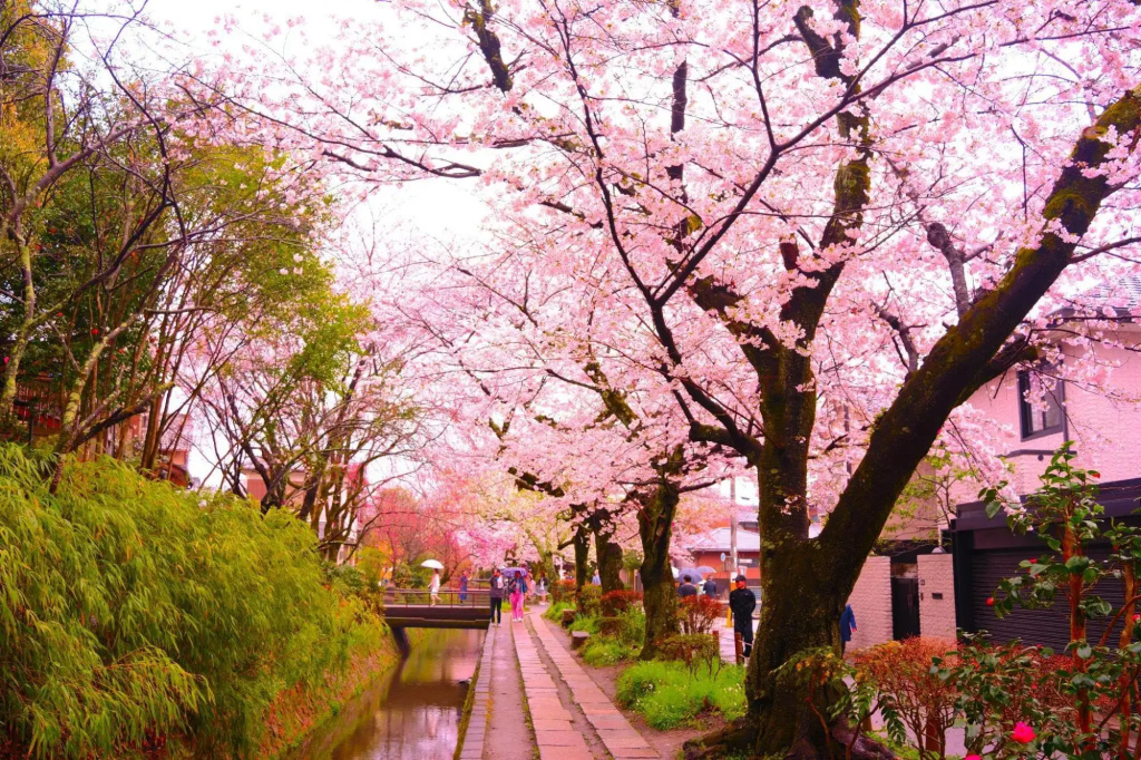 Karasuma Annex / Vacation STAY 3865