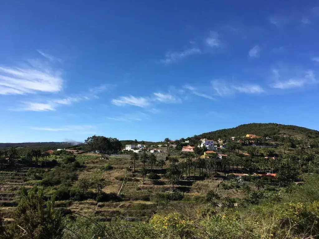 Jardin Las Hayas