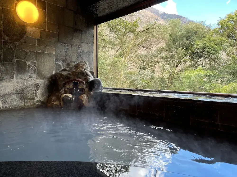 Hot Spring Inn Hakone Suisen