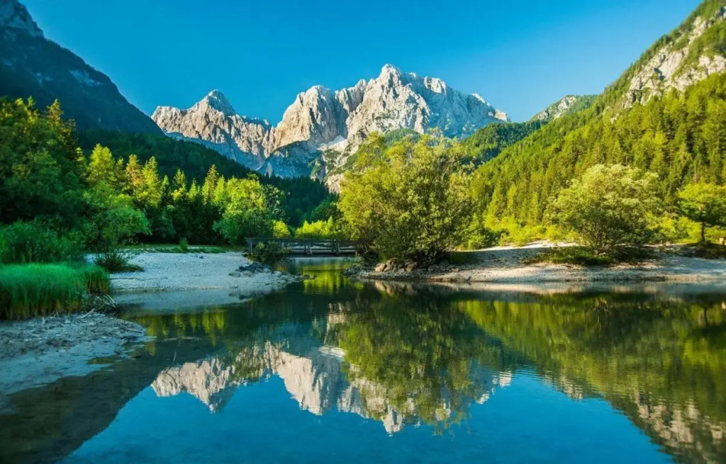 Bor in Bor Luxury Apartment with sauna & garden - Kranjska Gora