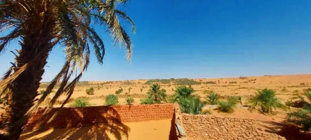 Dar El Kef