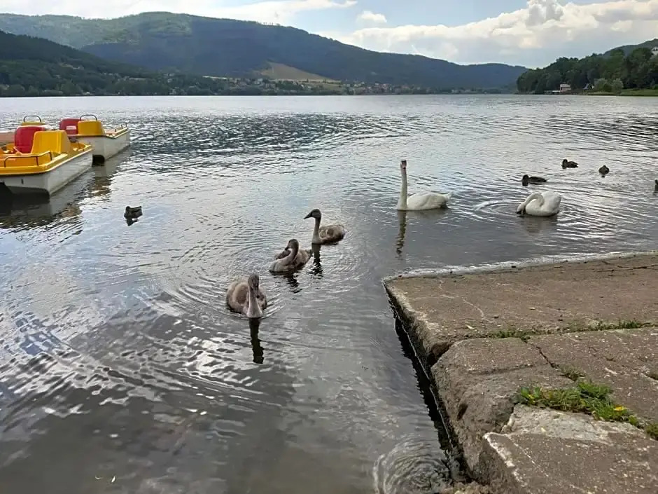 OWR Przystań