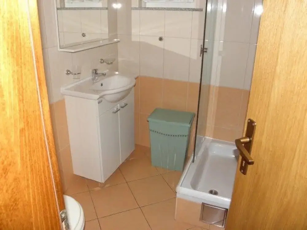 Apartments Vladimir
