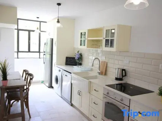 Luxurious Apartment in Jerusalem - Katamon