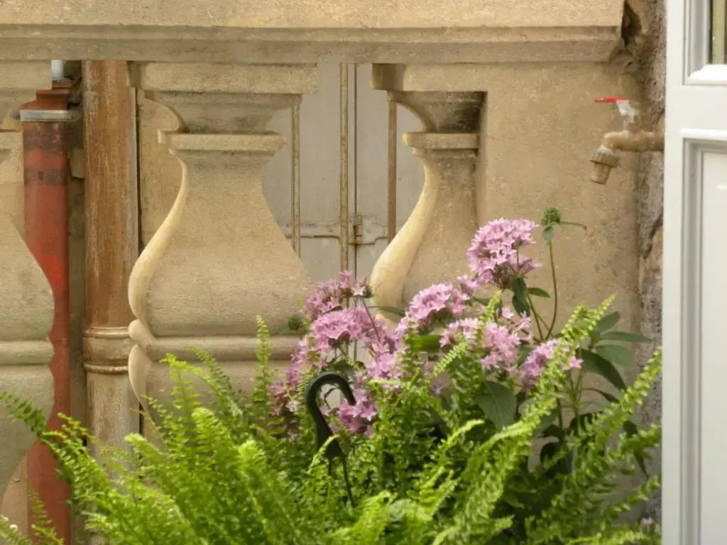 La Terrasse du Marché aux Fleurs