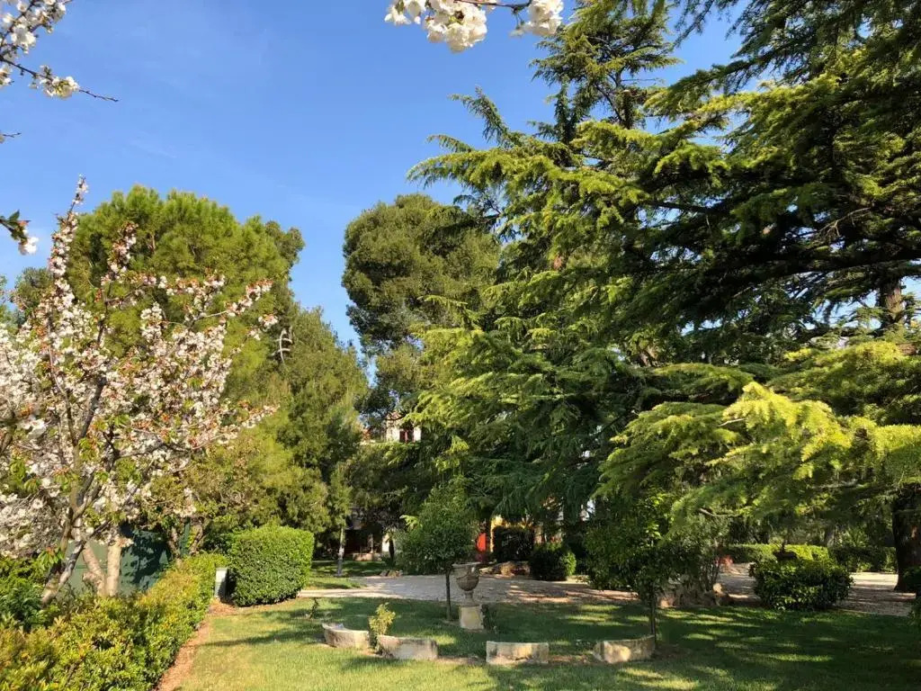 Villa Fenicia