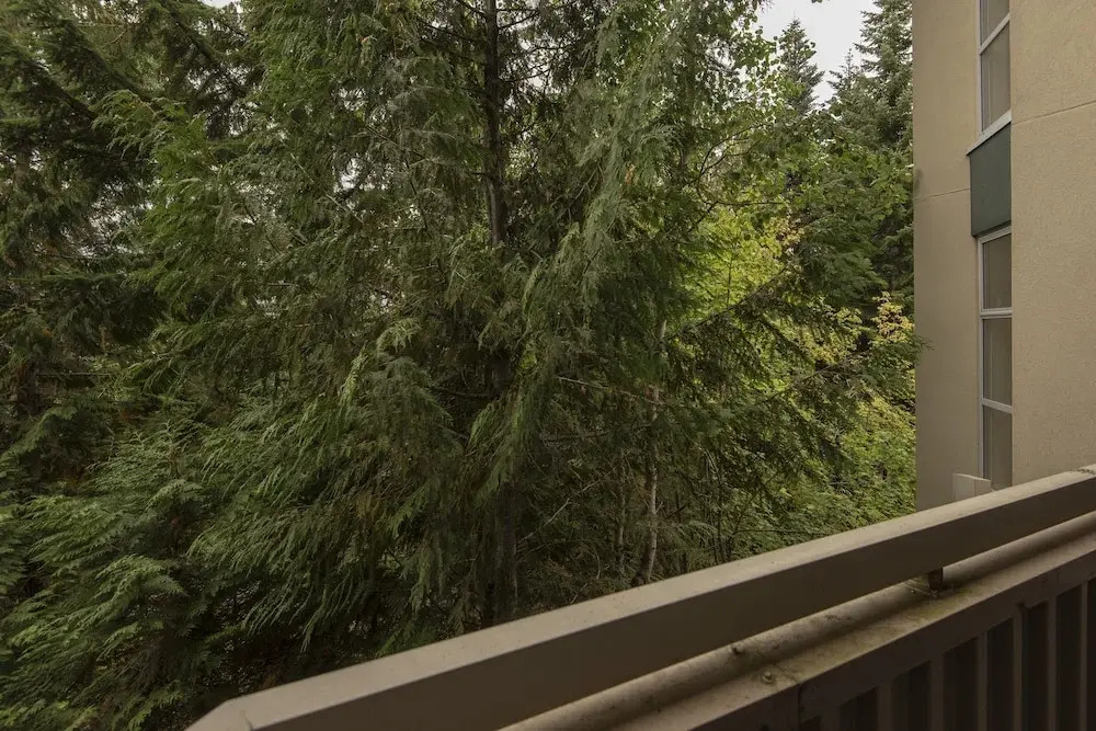 Woodrun Lodge 209 by Outpost Whistler