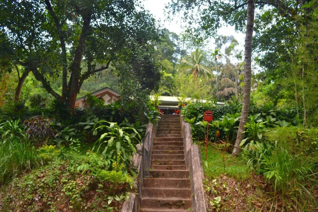 Ivy Banks Anniewatte Guest House