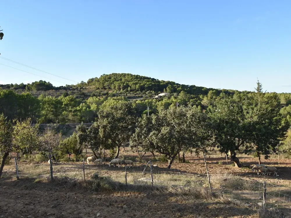 Cozy Mansion in St Joan de Labritja With Swimming Pool