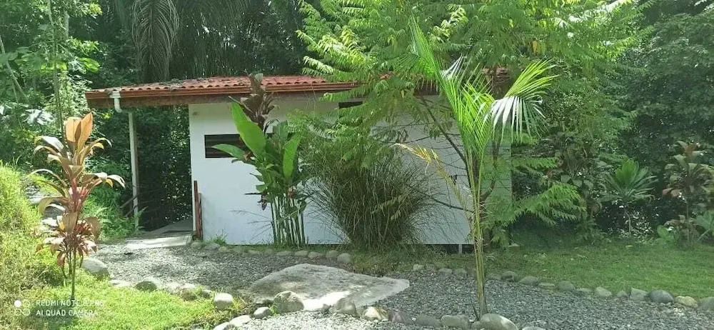Selva Linda Lodge jungle wildlife vue and birdwatching
