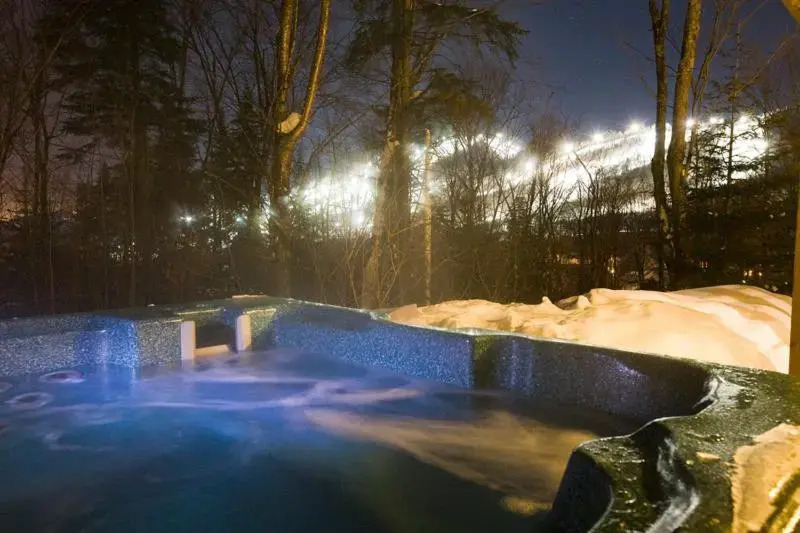 Chalets Alpins -41 Chemin des Skieurs