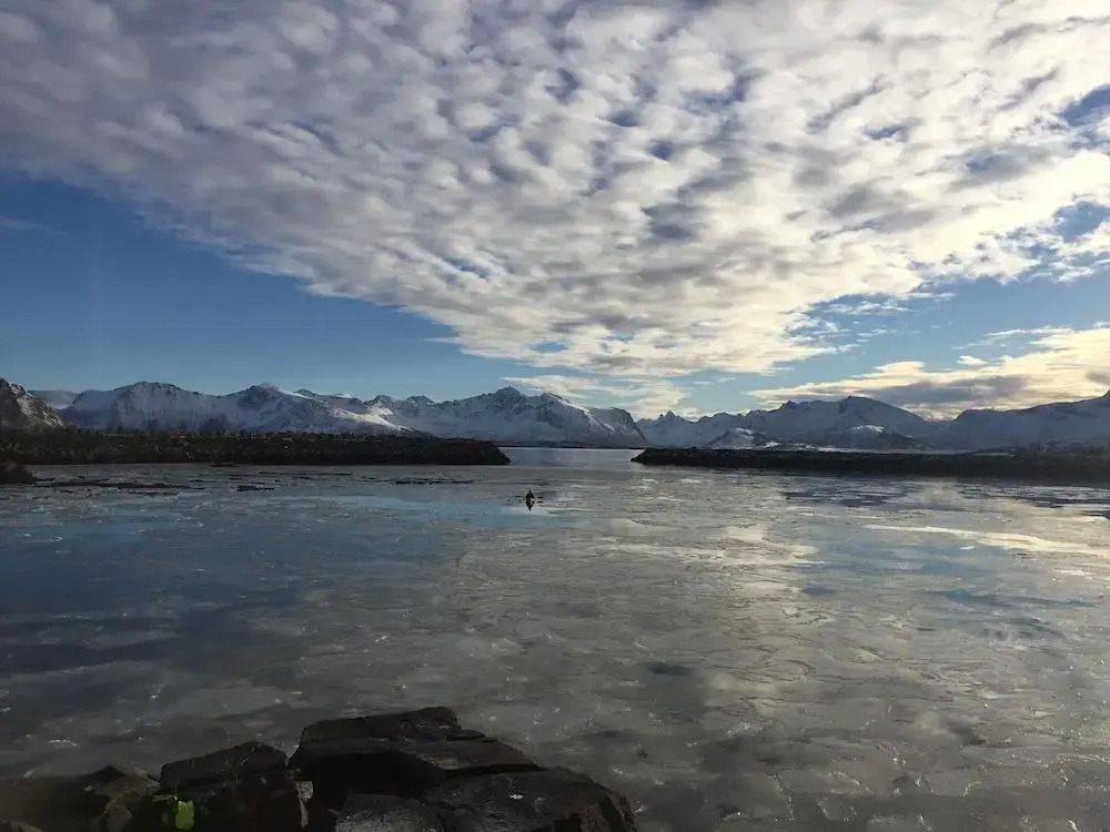 Villa Lofoten - The Farmhouse