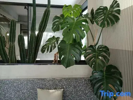 The  Ananas Hotel (Greenlake Branch)
