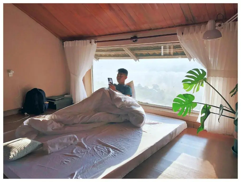 D House Dalat