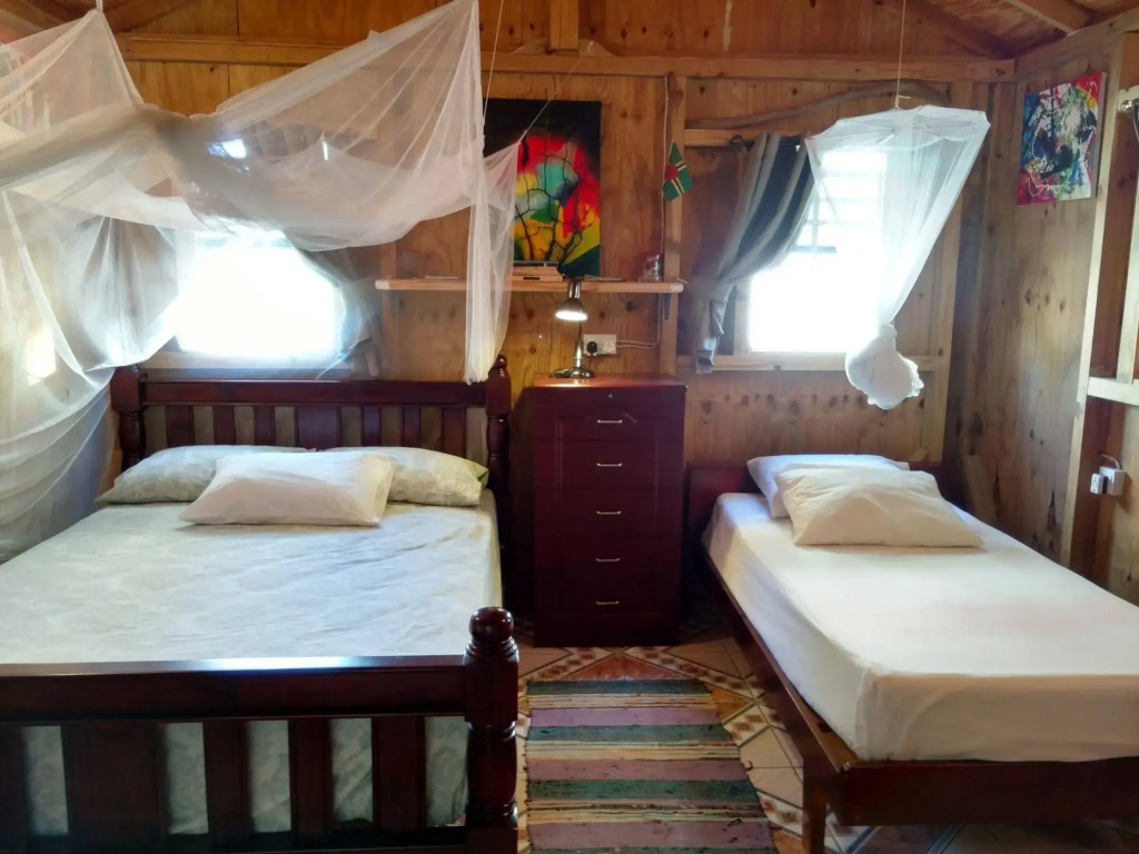Mainroad Suite