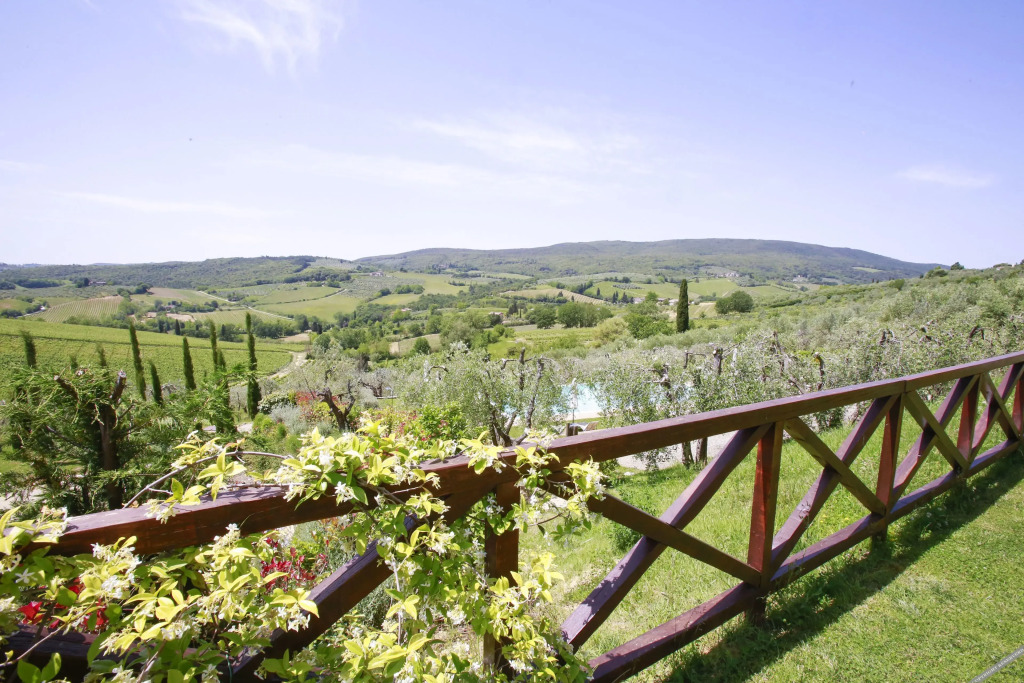 Fattoria Abbazia Monte Oliveto
