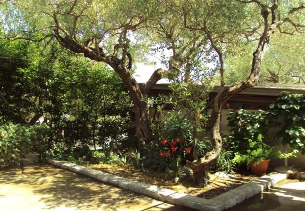 Pavo - 80 m From Beach - A1