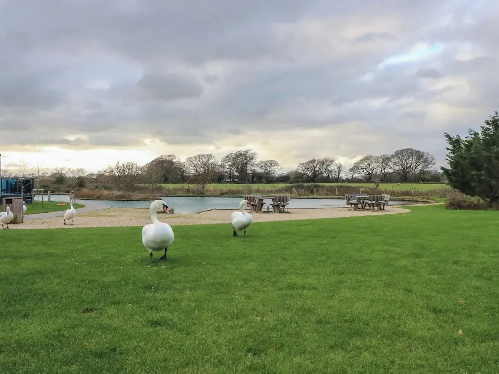 Millrythe Holiday Park