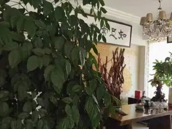 Yunhe Brilliant Business Hotel