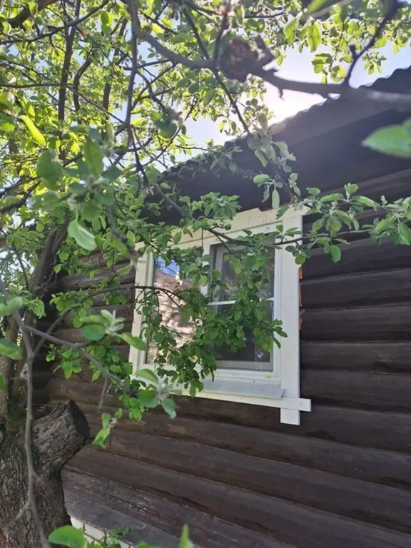 Дом из натурального сруба