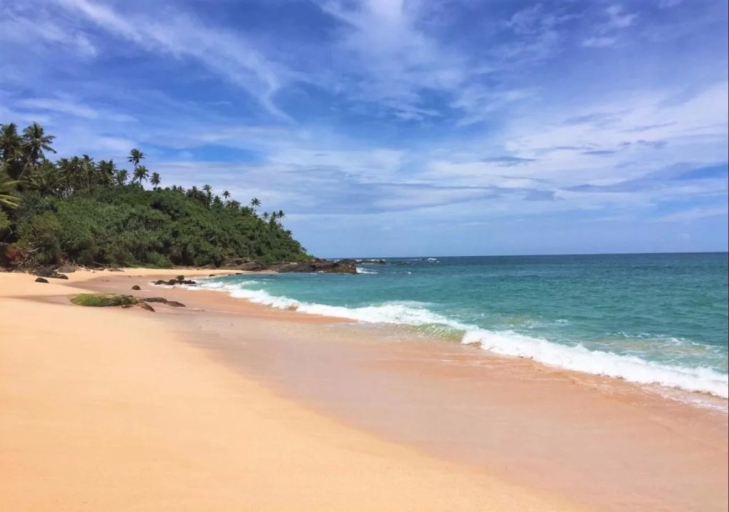 ParrotFish Bay