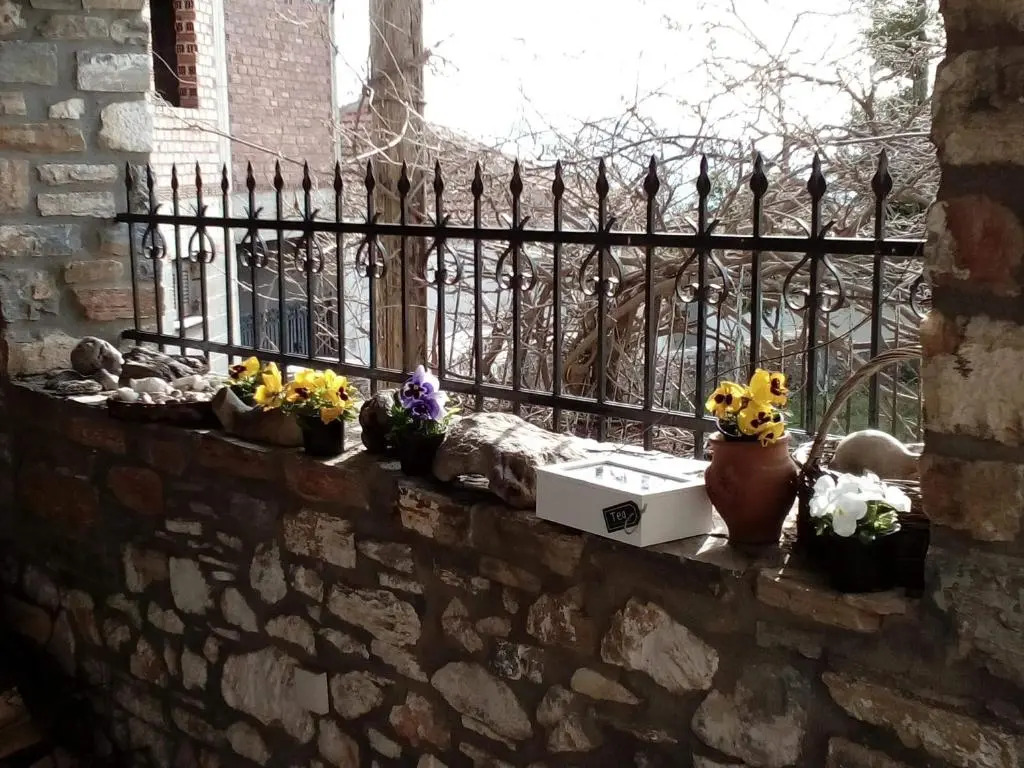 Aronia Stone House