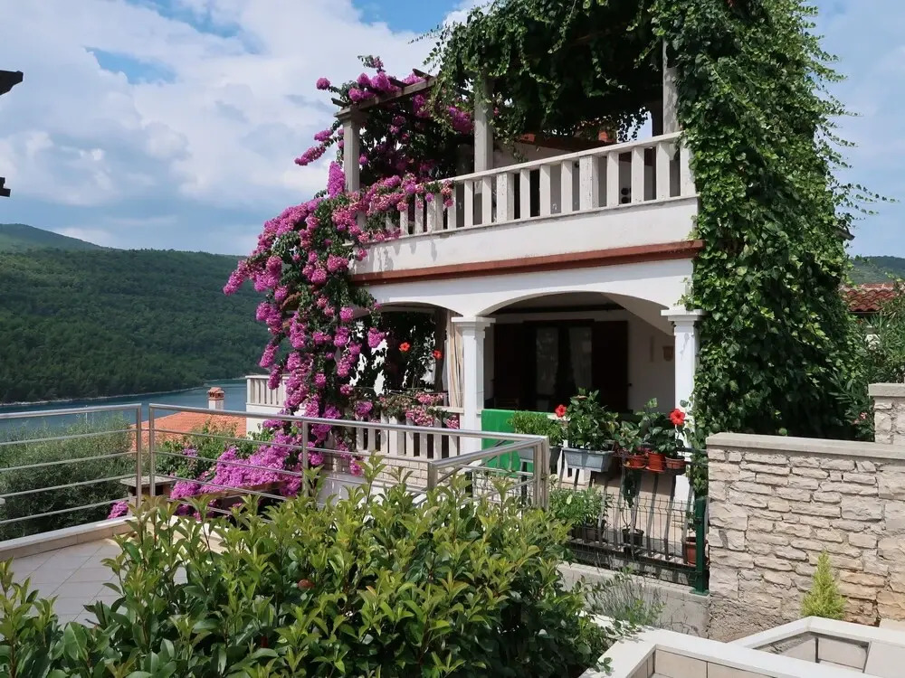 Violetta Duga Luka in Duga Luka