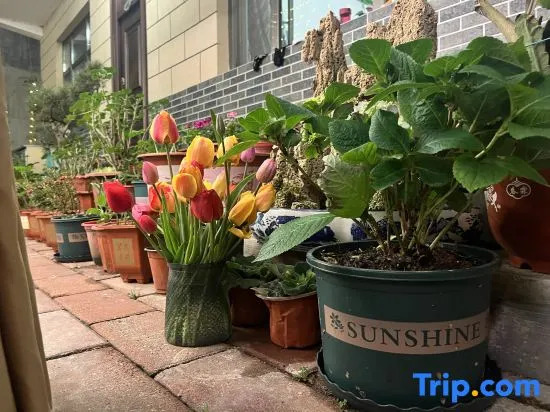 Banshandu Homestay (Maiji Mountain Scenic Area)