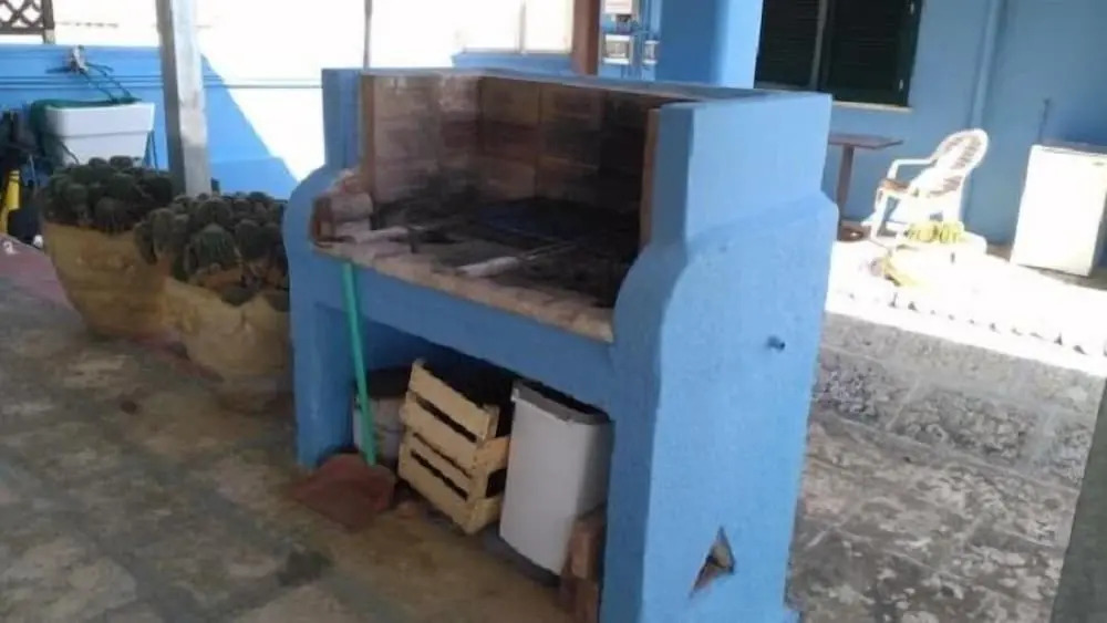 Geckos House