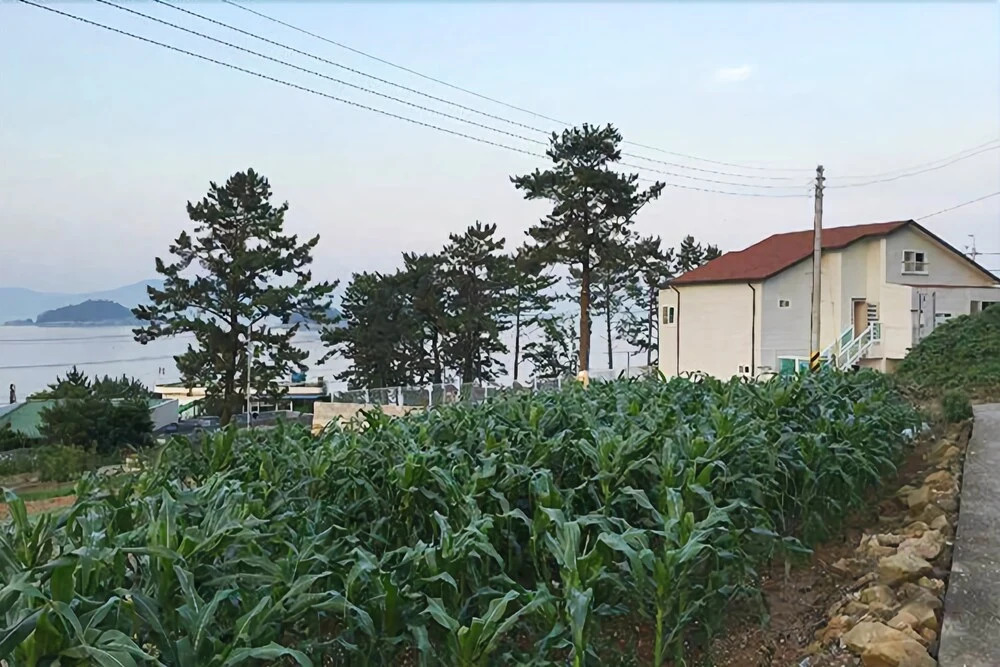 Seasidepine Pension