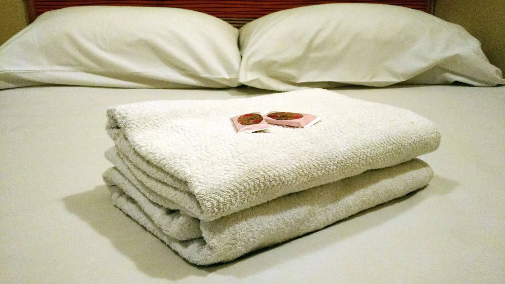 HOTEL PAULISTANO Terminal Tietê