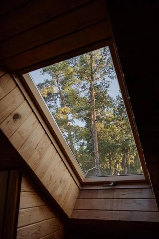 Vilnis Viesu nams